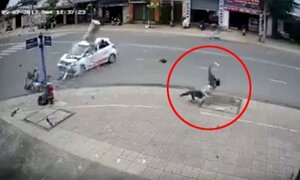 Video: Đâm vào taxi, lái xe máy lộn nhiều vòng trên không trung