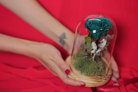 Hoa nhập khẩu bung hàng ngày 20/10