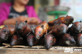 Về nơi phụ nữ, trẻ con thích ăn thịt chuột hơn tất cả các loại thịt khác