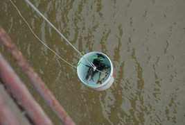 Thanh niên Hà thành kêu gọi 'Thả cá đừng thả túi nilon'