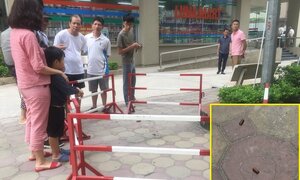 Nghi vấn người chồng đi ô tô bắn 2 phát súng khiến vợ bị thương ở Hà Nội
