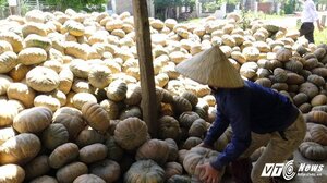Nông dân gửi tiết kiệm 1.826 tỷ đồng trong 7 tháng đầu năm