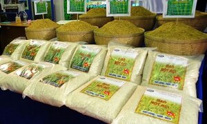 Trung Quốc chi hơn 700 triệu USD mua gạo Việt Nam