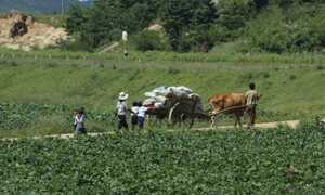 Những bí ẩn Triều Tiên qua con mắt của một nhà báo Việt Nam
