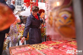 Đại sứ Bỉ Roccas du xuân, chúc Tết Nguyên đán Đinh Dậu người dân Việt Nam