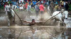 Các lễ hội nguy hiểm nhất thế giới: Bắn pháo hoa cháy đỏ vào người để lấy may ở Đài Loan