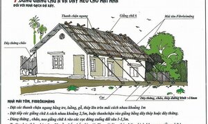 Bão số 16 mạnh kỷ lục sắp đổ bộ: Người dân cần làm gì để không mất nhà?
