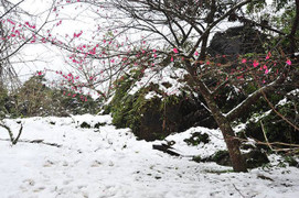 Dự báo thời tiết 10 ngày tới: Miền Bắc rét nhất từ đầu đông, vùng núi cao xuất hiện mưa tuyết