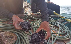 Giám thị đột tử trước giờ coi thi THPT quốc gia