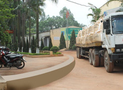 Thua lỗ liên tục, cổ phiếu PCN bị kiểm soát