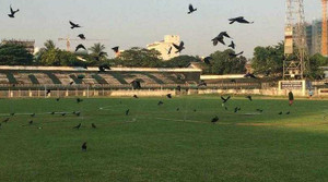 AFF Cup 2016: Tuyển Thái Lan phải tập luyện trên sân toàn quạ