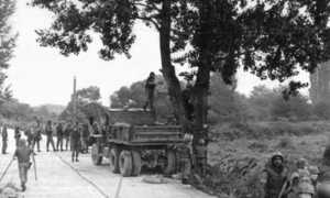 Cây bạch dương suýt khiến 2 miền Triều Tiên xung đột