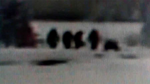 Xôn xao video gia đình quái vật chân to xuất hiện ở công viên Mỹ