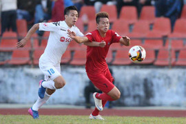 Trực tiếp bóng đá Hải Phòng vs Hà Nội FC