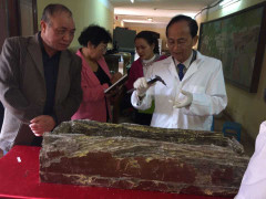 Vụ tìm mộ cụ Nguyễn Bỉnh Khiêm bằng ngoại cảm: Tại sao không giám định ADN?