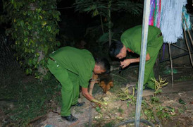 Xác phụ nữ không tay chân trong bao tải: 'Tên giết người quá tàn nhẫn'