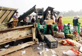 Xe container bị lật, dân Bình Định lao vào gom 30 tấn trái cây giúp tài xế