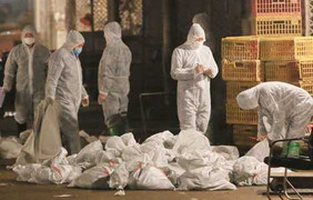 Cựu nghị sỹ Mỹ cảnh báo hiểm họa khủng khiếp hơn chiến tranh hạt nhân