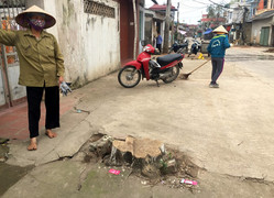 Chi phí đánh chuyển gần 1.000 cây xanh đường Phạm Văn Đồng thế nào?