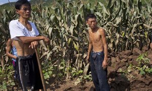 Liên Hợp Quốc hé lộ sự thật 'giật mình' ở Triều Tiên