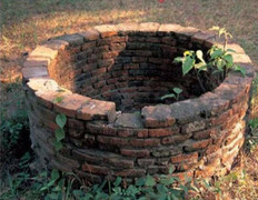 Tàn độc cháu bé 18 ngày tuổi bị ném xuống giếng nước