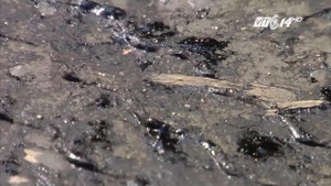 Cận cảnh nắng nóng làm mặt đường chảy nhựa nhem nhuốc ở Nghệ An