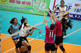 Lịch thi đấu VTV Cup 2017, lịch trực tiếp VTV Cup Tôn Hoa Sen 2017