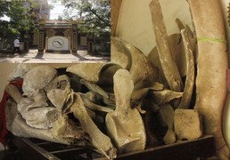 Hai bộ xương lớn nhất Việt Nam được người dân thờ như thần linh ở Quảng Bình