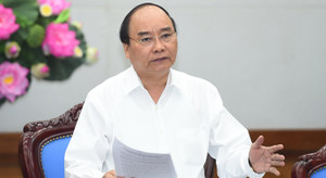 Thủ tướng: 'Tôi đã điện cho anh Nguyễn Ngọc Thiện cho thôi giữ chức đối với ông Cục trưởng'