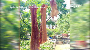 Nắng nóng kỷ lục, bà nội trợ treo thịt ngoài trời làm món thịt lợn 1 nắng tuyệt ngon