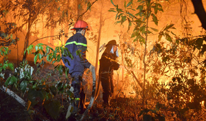 Cháy rừng ở Sóc Sơn Hà Nội: Công an vào cuộc điều tra