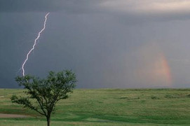 Gieo mạ ngoài đồng, một người bị sét đánh chết