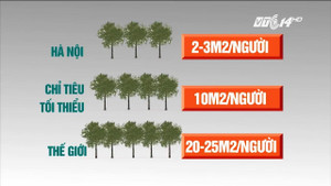 Chi phí đánh chuyển gần 1.000 cây xanh đường Phạm Văn Đồng thế nào?