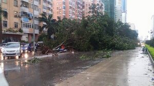 Áp thấp nhiệt đới trên Biển Đông mạnh lên thành bão, khu vực Hà Nội mưa dông