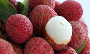 Thực hư chuyện ăn vải bị viêm não Nhật Bản