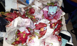 Cận cảnh 5.000 viên ma túy được giấu cực tinh vi trong ruột quả thanh long