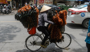 Chổi lông gà 'huyền thoại' của Việt Nam lần đầu lên truyền hình Pháp