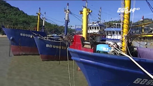 Bình Định: Xử nghiêm các đơn vị đóng tàu gian lận, lấy lại niềm tin của ngư dân