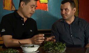 Khám phá thú vị: Vì sao người Việt Nam thích ăn rau răm?