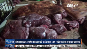 Trinh sát mật phục 1 tháng, lật tẩy cơ sở 'phù phép' thịt lợn thối thành thịt lợn rừng
