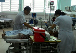 Những điều chưa biết về 'ông trâu' vô địch lễ hội chọi trâu Đồ Sơn