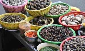 Choáng với hàng ốc vỉa hè siêu bẩn, ngay gần bồn cầu nhà vệ sinh