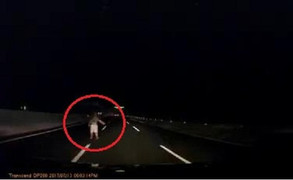 Người đàn ông đột ngột xuất hiện giữa cao tốc, tài xế ô tô một phen hú vía