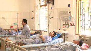 Hái nấm mọc trong vườn để ăn, 12 người ở Sơn La suýt mất mạng