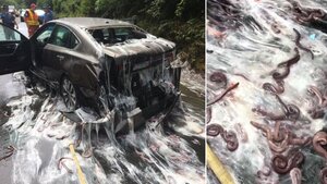 Khiếp đảm cảnh 3,5 tấn lươn sống tràn ra cao tốc, gây tai nạn liên hoàn