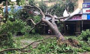 Một phụ nữ bị mái tôn đè chết trong cơn bão số 2