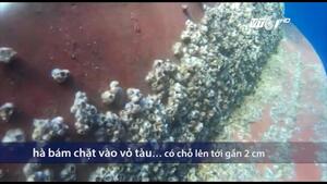 Cận cảnh tàu vỏ thép tróc sơn gỉ sét, hà bám dày đặc khiến ngư dân điêu đứng