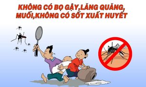Không xem kỹ khuyến cáo này, người dân sẽ mang sốt xuất huyết về nhà
