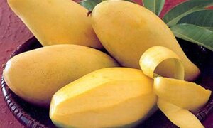Lo xoài tẩm thuốc: Đây là bí quyết chọn xoài ngon và an toàn ai cũng phải biết