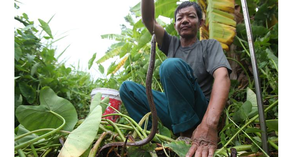 Mẹ ác nhốt con dưới gầm ghế, ngồi lên trên để chơi mạt chược